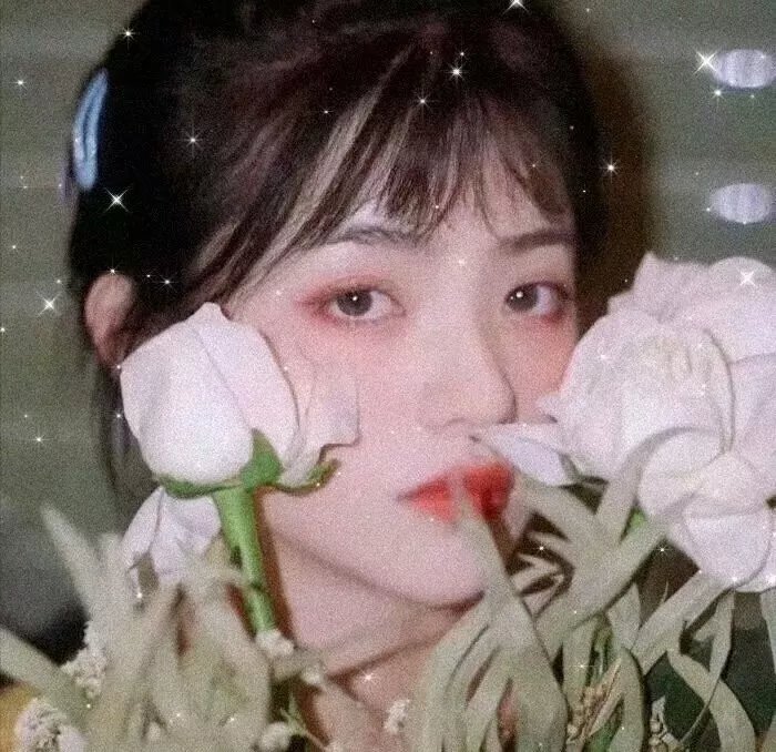 摧花狂魔